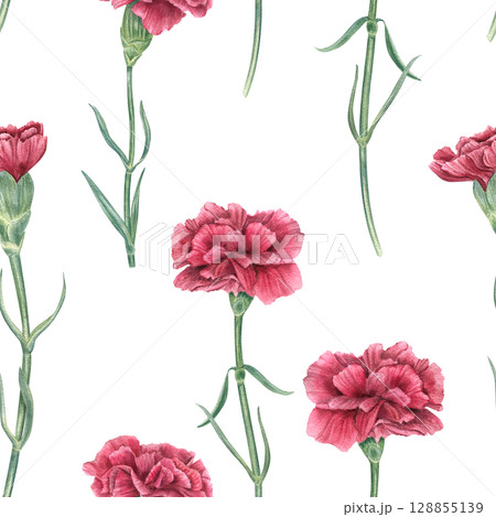 Red carnations on stems and leaves seamless watercolor pattern isolated on white background. Hand painted symbolic flowers of revolution or memories days. Ornate for textiles, banner, romantic design. 128855139