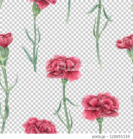 Red carnations on stems and leaves seamless watercolor pattern isolated on white background. Hand painted symbolic flowers of revolution or memories days. Ornate for textiles, banner, romantic design. Red carnations on stems and leaves seamless watercolor pattern isolated on white background. Hand painted symbolic flowers of revolution or memories days. Ornate for textiles, banner, romantic design. 128855139