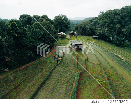 Aerial view of newly planted rice fields on Asian hills 128855265