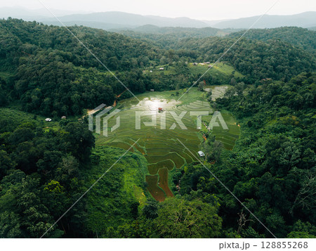 Aerial view of newly planted rice fields on Asian hills Aerial view of newly planted rice fields on Asian hills 128855268