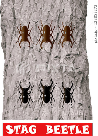 クワガタ戦士5(楢の木と赤文字) クワガタ戦士5(楢の木と赤文字) 128855272