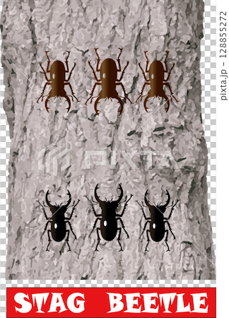 クワガタ戦士5(楢の木と赤文字) クワガタ戦士5(楢の木と赤文字) 128855272