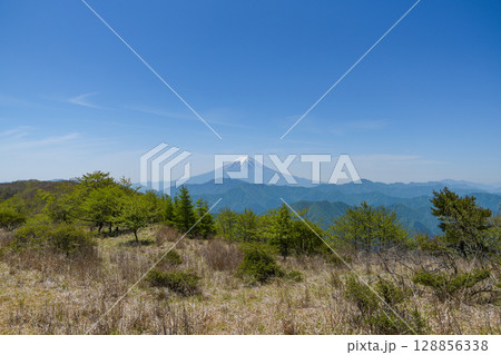 大蔵高丸から見る富士山 大蔵高丸から見る富士山 128856338