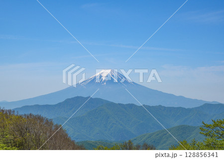 大蔵高丸から見る富士山 大蔵高丸から見る富士山 128856341