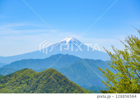 ハマイバ丸から見る富士山 ハマイバ丸から見る富士山 128856564