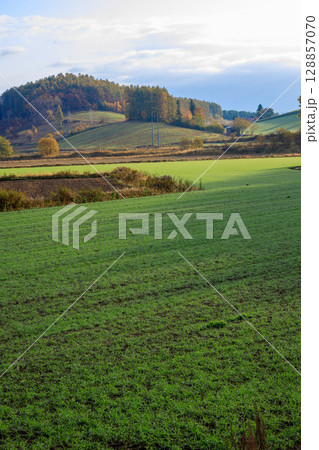 通行中に足を止めてみた美しい丘 128857070