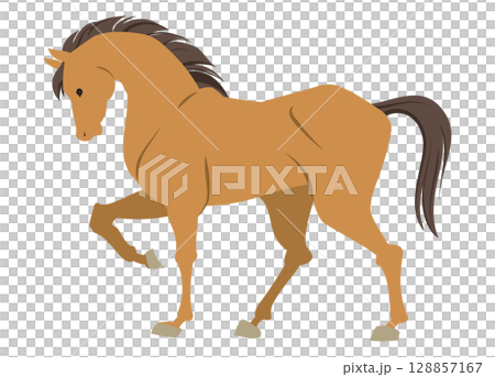 一匹馬抬起一條腿站立的插圖 一匹馬抬起一條腿站立的插圖 128857167
