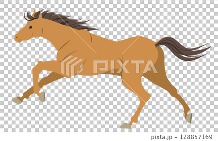 奔跑的馬的插圖 奔跑的馬的插圖 128857169