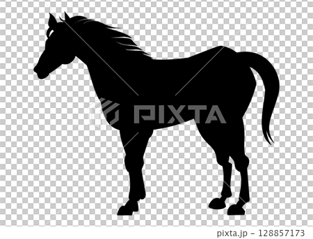 站立的馬剪影 128857173
