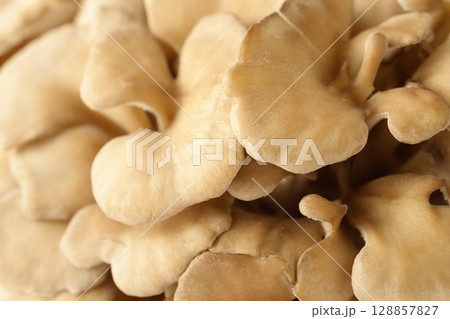 ひらひら舞う舞茸のフリルのクローズアップ ひらひら舞う舞茸のフリルのクローズアップ 128857827