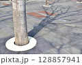 けや木と影 128857941