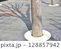 けや木とうつる影 128857942