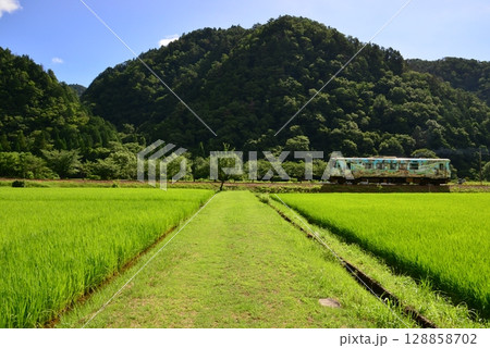 美濃白鳥駅と白山高原駅の間を走る長良川鉄道 128858702