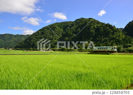 美濃白鳥駅と白山高原駅の間を走る長良川鉄道 128858703