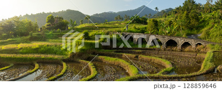 Aerial view of beautiful Rice Terraces surrounded by tropical forest in Bali, Indonesia. Balinese Rural scene. 128859646