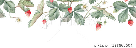 Seamless horizontal border or banner with wild strawberries and white flower. Hand drawn watercolor illustration on white isolated background. Floral pattern for frame or banner with woodland berries Seamless horizontal border or banner with wild strawberries and white flower. Hand drawn watercolor illustration on white isolated background. Floral pattern for frame or banner with woodland berries 128861504