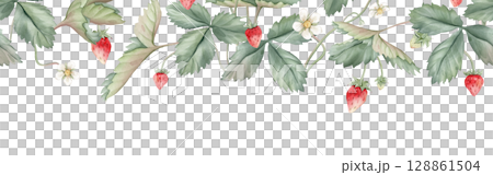 Seamless horizontal border or banner with wild strawberries and white flower. Hand drawn watercolor illustration on white isolated background. Floral pattern for frame or banner with woodland berries 128861504