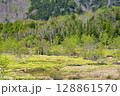 志賀高原　田ノ原湿原 128861570