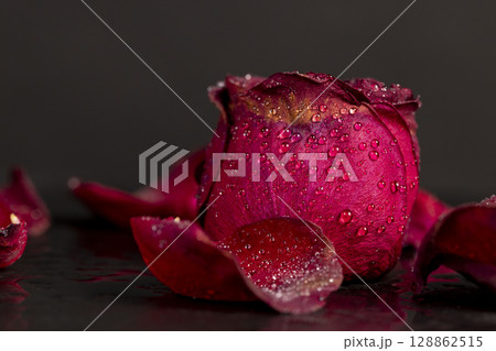 wet flaccid petals of a red rose flower, dried rose flower on a black slate board covered with water droplets, close up 128862515
