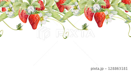 Strawberry berries leaves flowers hanging bunch, vines tendrils creepers garland garden pineberry strasberry. Hand drawn in watercolor. Isolated seamless banner border. Menu, farmers market, florist 128863181