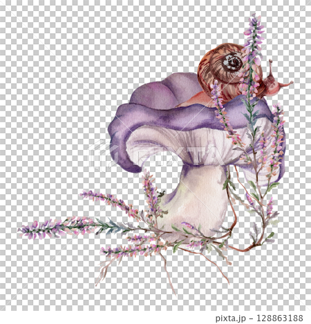 Russula webcap mushroom, snail on top, moss lichen growth, heather flowers. Nature composition hand drawn in watercolor. Forest floor habitat scene. Mycology book illustrations, calendar poster art Russula webcap mushroom, snail on top, moss lichen growth, heather flowers. Nature composition hand drawn in watercolor. Forest floor habitat scene. Mycology book illustrations, calendar poster art 128863188