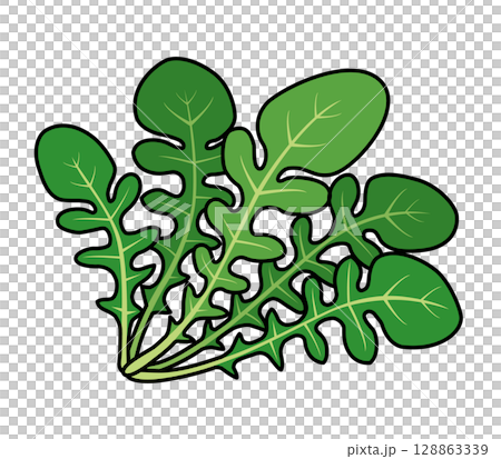 芝麻菜圖示 128863339