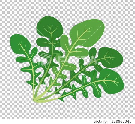 Arugula icon 128863340