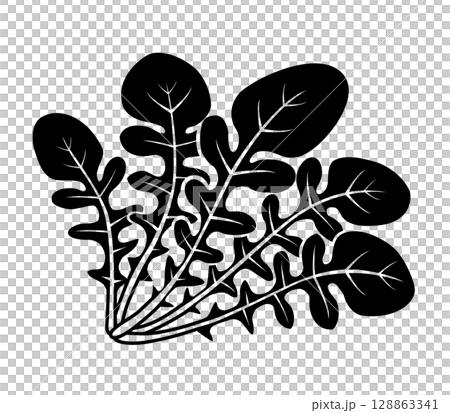 Arugula icon 128863341