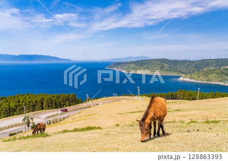 《宮崎県》馬のいる都井岬 128863393