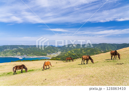 《宮崎県》馬のいる都井岬 128863410