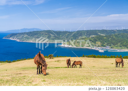 《宮崎県》馬のいる都井岬 128863420