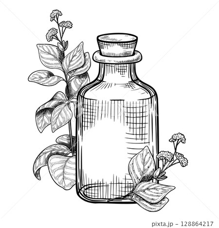 Vector illustration of Glass Dropper Bottle with oregano and basil leaves. Linear drawing for natural remedy labels, herbal cosmetic packaging, or alternative medicine design projects. Vector illustration of Glass Dropper Bottle with oregano and basil leaves. Linear drawing for natural remedy labels, herbal cosmetic packaging, or alternative medicine design projects. 128864217