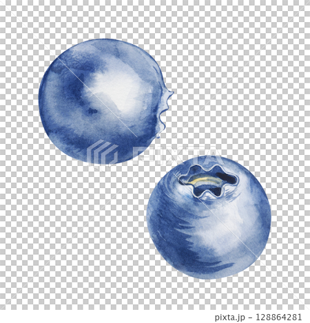 Watercolor blueberries, hand-drawn. The botanical illustration is isolated on a white background. Clipart. 128864281