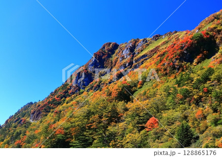 【愛媛県】紅葉した秋の瓶ヶ森(石鎚山) 【愛媛県】紅葉した秋の瓶ヶ森(石鎚山) 128865176
