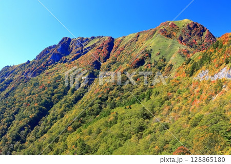 【愛媛県】紅葉した秋の瓶ヶ森(石鎚山) 【愛媛県】紅葉した秋の瓶ヶ森(石鎚山) 128865180