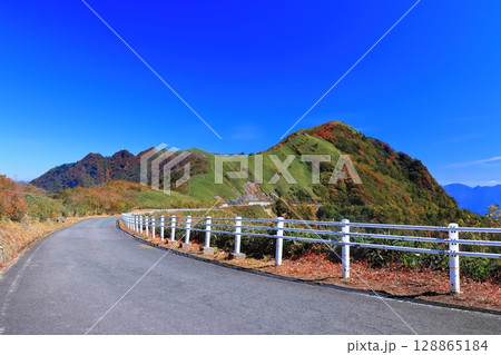 【愛媛県】紅葉した秋の瓶ヶ森(石鎚山) 【愛媛県】紅葉した秋の瓶ヶ森(石鎚山) 128865184
