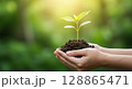 植林をイメージした苗、芽生え 128865471