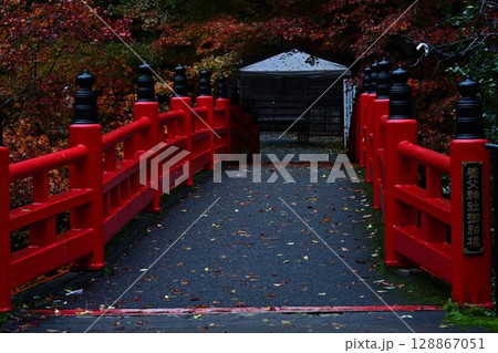 養父神社の紅葉 128867051