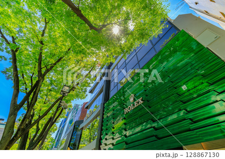 東京　渋谷区　表参道の新緑 128867130