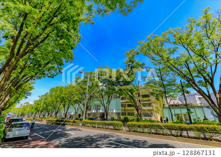 東京　渋谷区　表参道の新緑 128867131