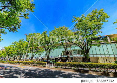 東京 渋谷区 表参道の新緑 東京 渋谷区 表参道の新緑 128867132