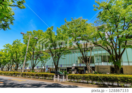 東京　渋谷区　表参道の新緑 128867133