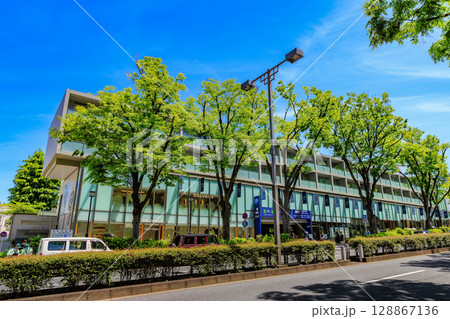 東京　渋谷区　表参道の新緑 128867136