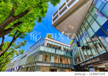 東京　渋谷区　表参道の新緑 128867145