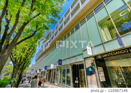 東京　渋谷区　表参道の新緑 128867146