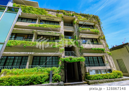 東京　渋谷区　表参道の新緑 128867148