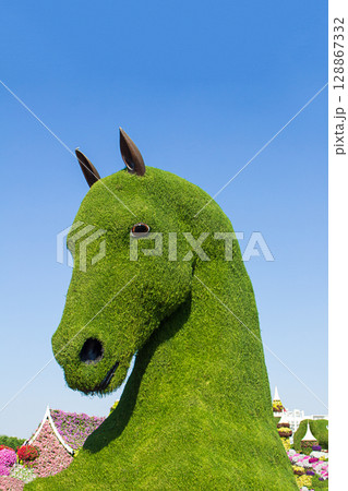 Dubai Miracle Garden, UAE  21 November 2025. Giant topiary sculpture of a horse head made from green plants and foliage, set against a vibrant floral landscape 128867332