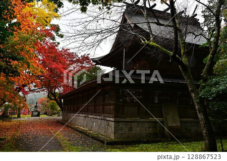 養父神社の紅葉 養父神社の紅葉 128867523