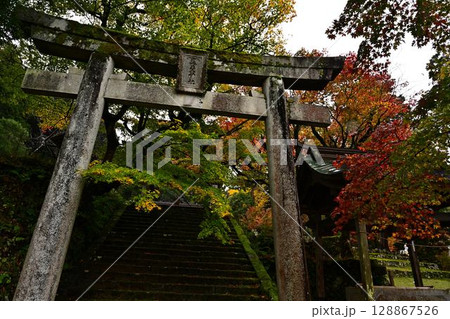 養父神社の紅葉 養父神社の紅葉 128867526