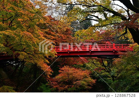 養父神社の紅葉 128867528